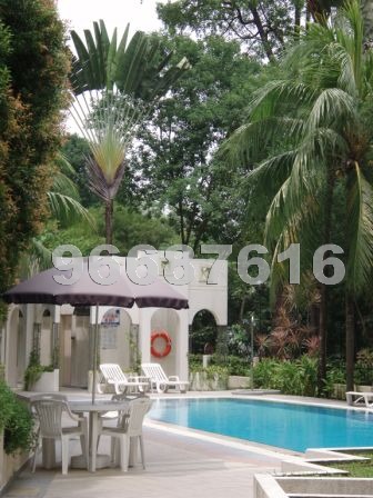 Holland Hill Park (D10), Condominium #885692